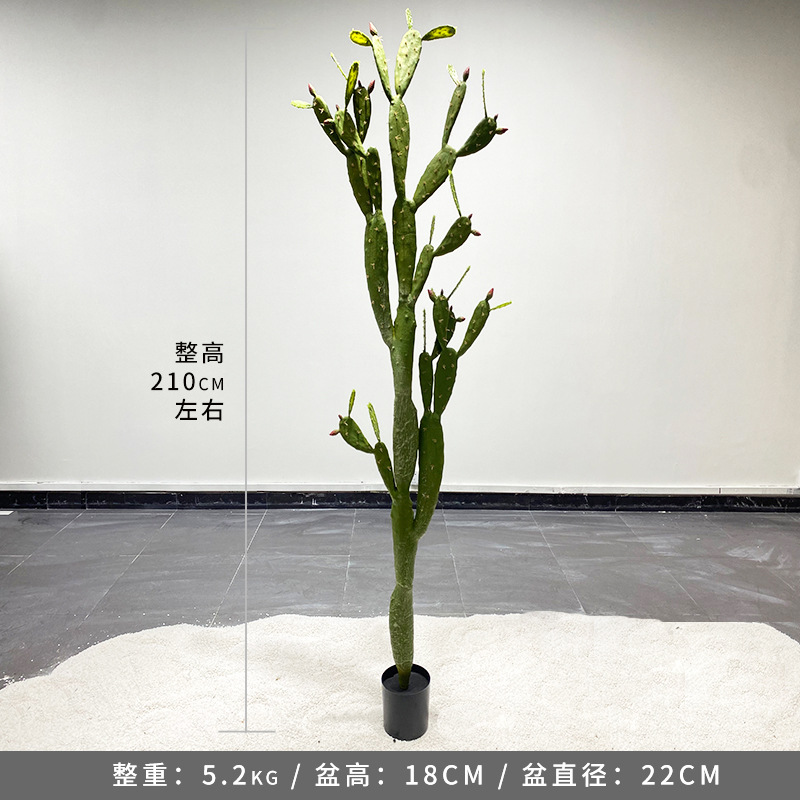 Simulación nórdica Planta verde Pilar de hadas Cactus grande piso interior sala de estar ropa tienda decoración de ventana
