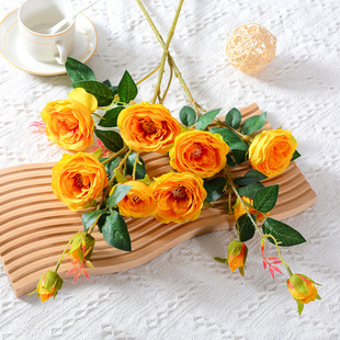 6�^�_��õ����滨 �Ҿӻ�c�Ƶ��b�ʽ�軨�ٻ����컨��ö÷