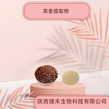 黑麦提取物10:1  黑麦粉萃取粉 黑麦膳食纤维