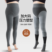 大码灰色连裤袜女春秋外穿不掉档6段压力棉打底裤胖mm200斤瘦腿袜