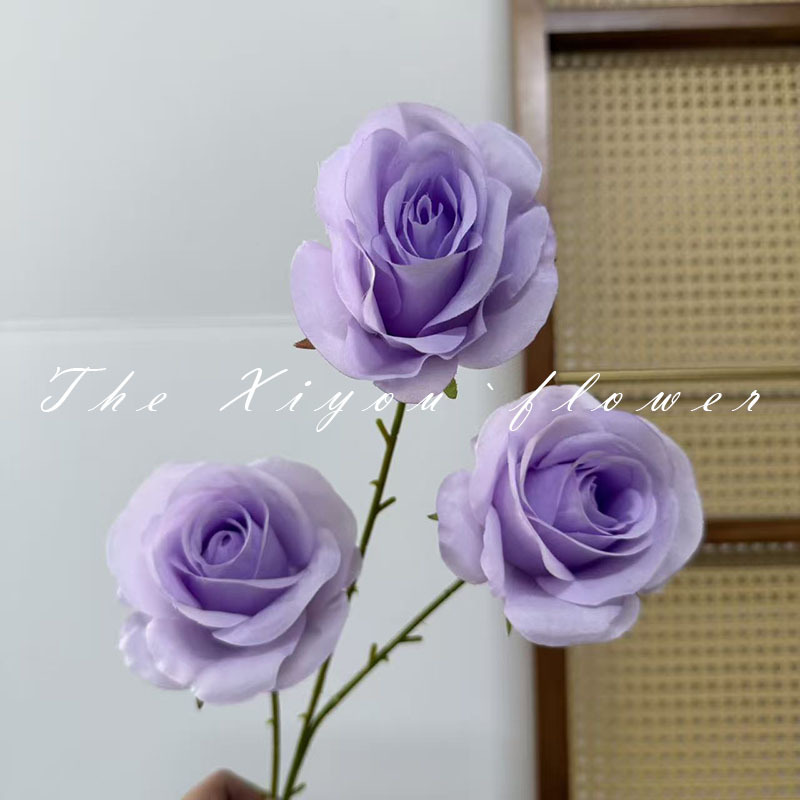 라운드 로즈 퍼플