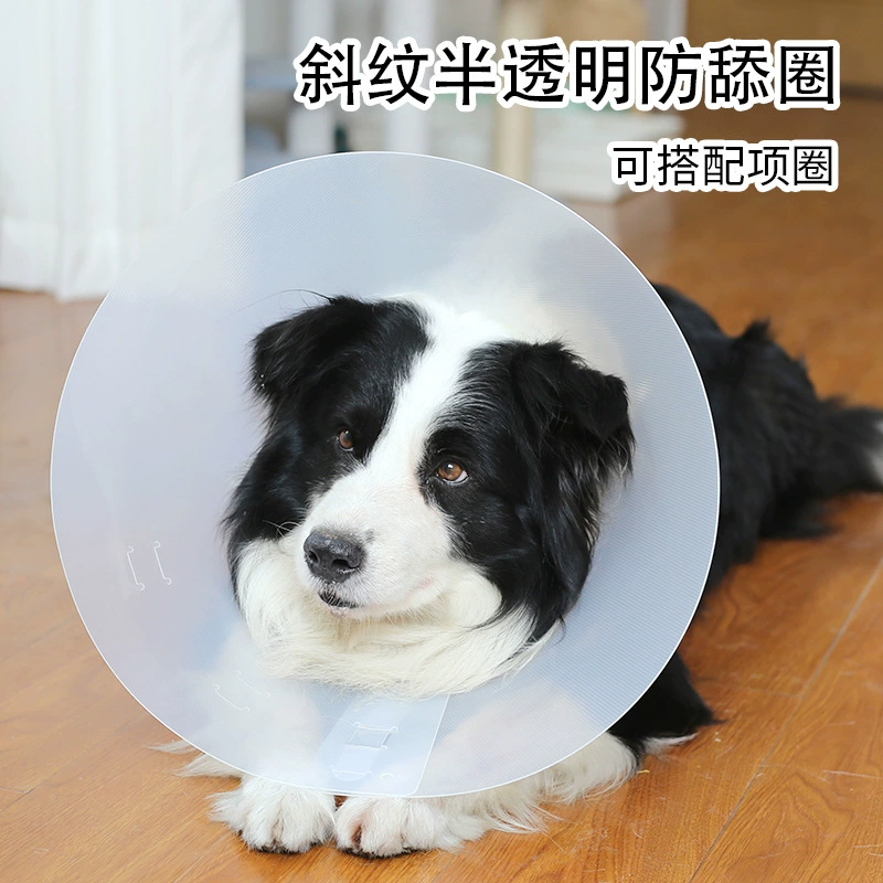 Кольцо Элизабет из саржи для домашних животных может быть оснащено тяговой веревкой, защитой от укусов, головным убором, ошейником для кошек, производителей оптом