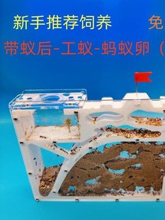 Λρ�Ǳ�����ρ���º��ի@ρ�̌W�䲿�������̌WΛρ�C