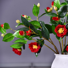 Sl軨ҾbƵҲߙn滨ɽ軨羳