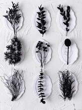 ɫϰdiyɻֲ˱ֶYRƬk~b