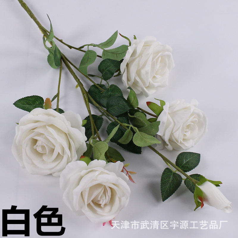 img_8057_副本_副本.jpg