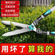 �@ˇ�����h�ʼ���ƺ�������޼���֦�G�h�����ߴ�֦�@�ִ�����羳