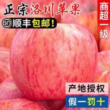 陕西洛川苹果10水果新鲜当季整箱斤红富士冰糖心一级脆甜官方旗舰