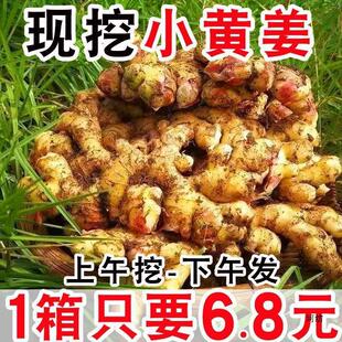 ���F�ڬF�l���������l���С�S�����r�۽��Ͻ����ӽ��r���߲˰��]