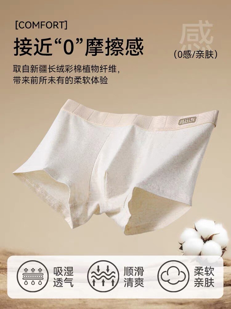 Briefs