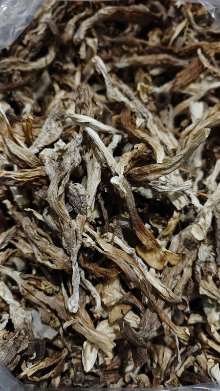 楷美鹿茸菇干货鹿茸菌非特级野生脆脆菇干煲汤云南菌子代发|undefined