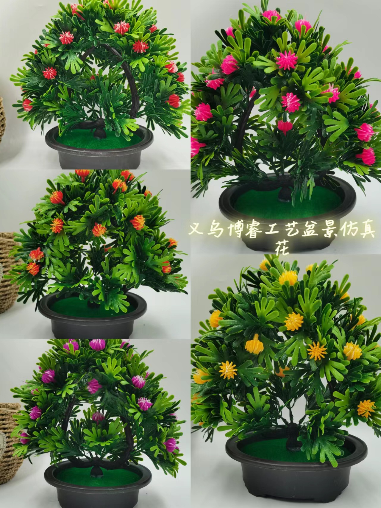 de9cd45738c529830c202ce56a6541