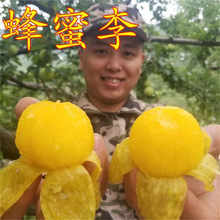 ���ڷ������Ә����F��Ó�����Ә��������Ϸ������������Ԯ���Y��