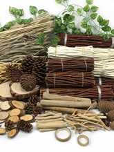 �׃��@�ֹ��h������ɭ��ϵ�h�����à����b��زĸɘ�֦�ɹ��ɻ���