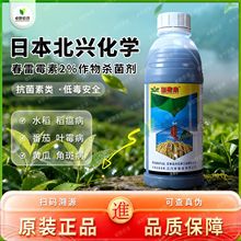 2%ùSϽǰ߲~ùˮˮrș