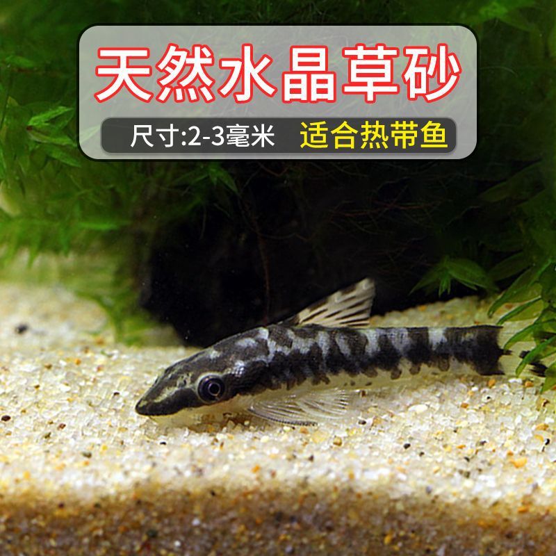 Crystal Grass sand medium [2-3mm]]