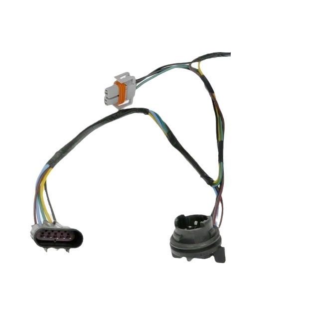 2024-05-31 15:18:24.jpg