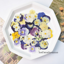 ƽ�扺���b��滨diy�����ɻ���ɫ���S�C�ɫѺ�������ֹ�����