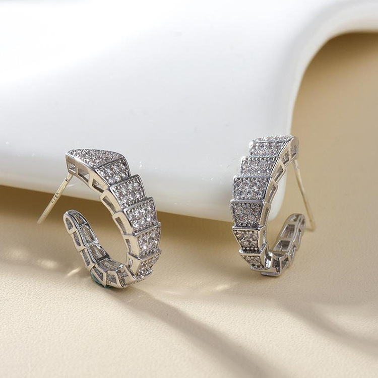 Full Diamond Snake-shaped Earrings Snake Bone Copper Earrings display picture 3