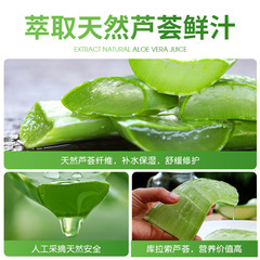 Official Aloe Vera Gel from Zhuo Chen 2023 Refreshing Hydrating Moisturizing Repair Gel for Men and Women, Manufacturer Wholesale