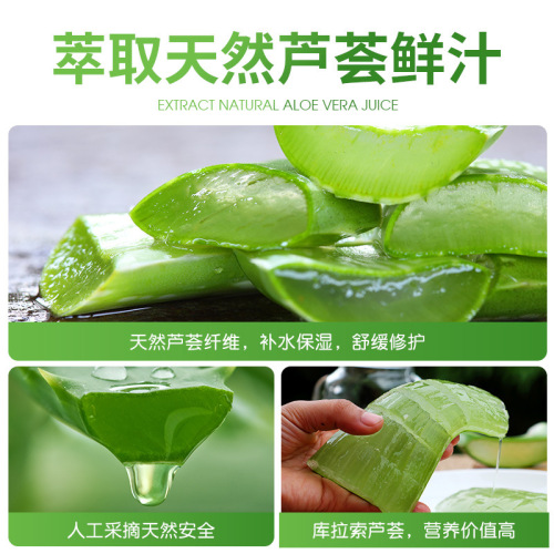 Official Aloe Vera Gel from Zhuo Chen  Refreshing Hydrating Moisturizing Repair Gel for Men and Women, Manufacturer Wholesale