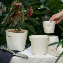 �W�tins�����L�������ֲ��Ø�֬͸��G�}�Ӻ��̖���ϻ���