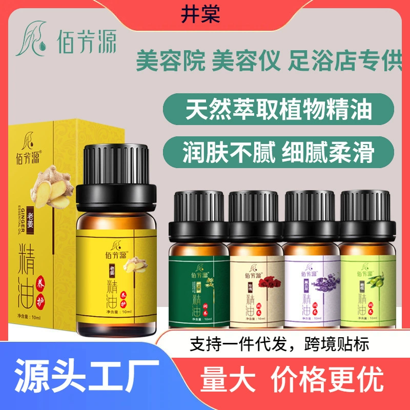Эфирное масло полыни Растительное тело SPA массаж соскоб Салон красоты 10ml Эфирное масло имбирной розы полыни спот