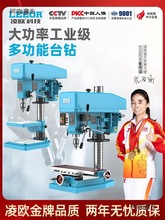 ̨��Z516�깥���û�ZS4116��ϳ��ZX7016��ҵ380V̨ʽ�괲����̫��