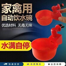 �u���Ԅ��ˮ���u�ˮ������¿�Ӻ����Ӻ�ˮ�۴�̖����ιˮ����