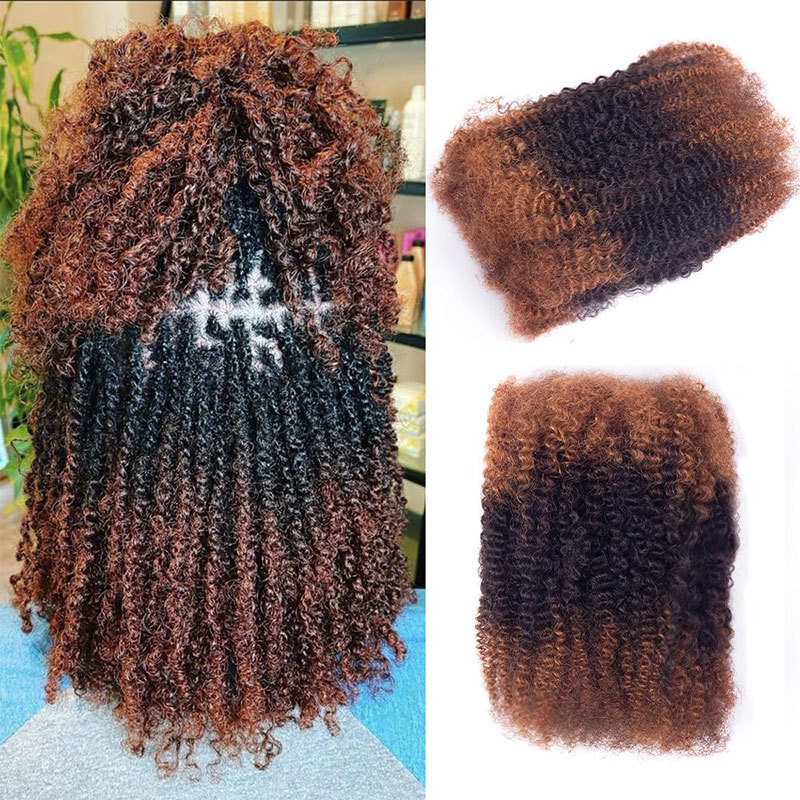 Fashion Hair Afro Twist Kinky Curly Braided Locshair African Wig