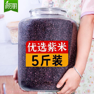 5������������� ī����Ŵ��ѪŴ�����׺�������خa����s�Z��