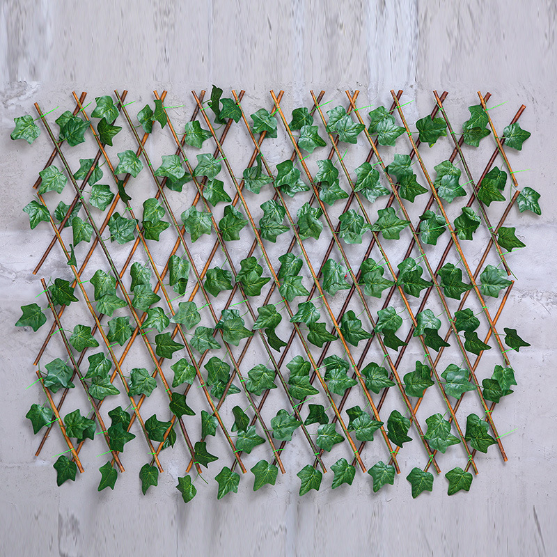 18261850089_77184706