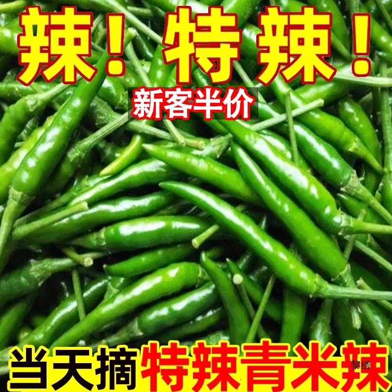 新鲜现摘5斤青小米椒现发辣朝天椒泡椒剁椒小尖椒当季蔬菜青椒包