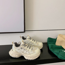 2025ļ¿ЬŮͽe\ЬӵɽЬmŮٴ