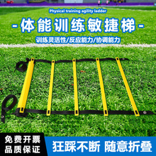 �๦�ܺ��������� �K�ݽy��Ӗ�� ���ۯB������ܛ�������ӏS�����l