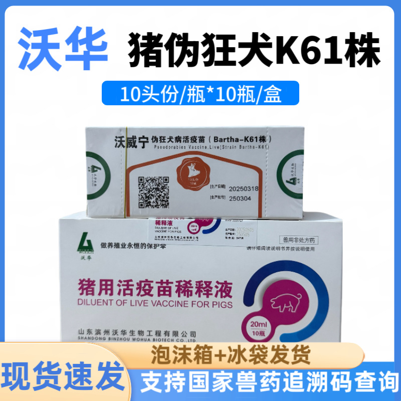 沃威宁 沃华 猪伪狂犬活疫苗K61株伪狂犬猪疫苗猪伪狂犬