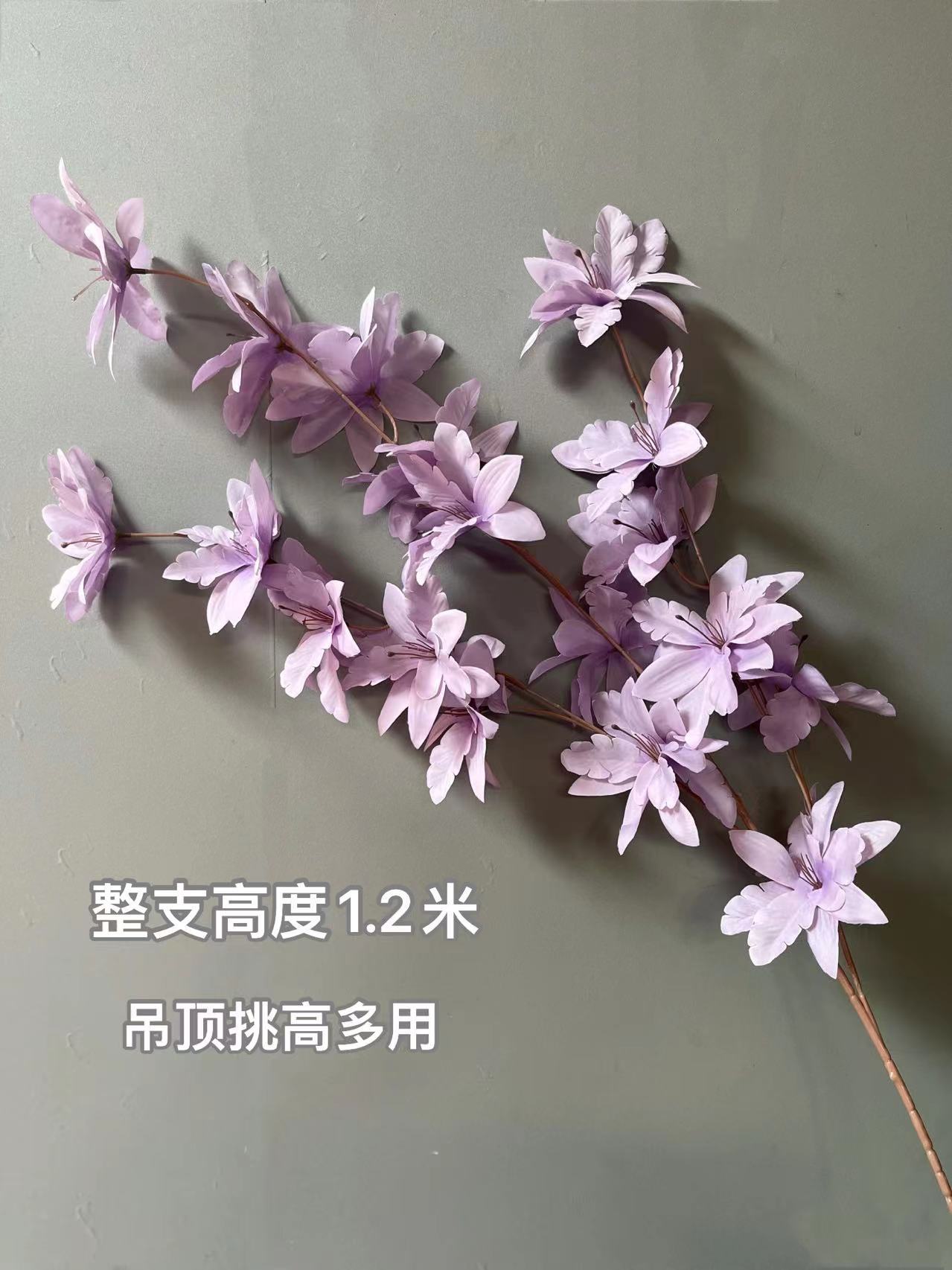 微信图片_20230706101041