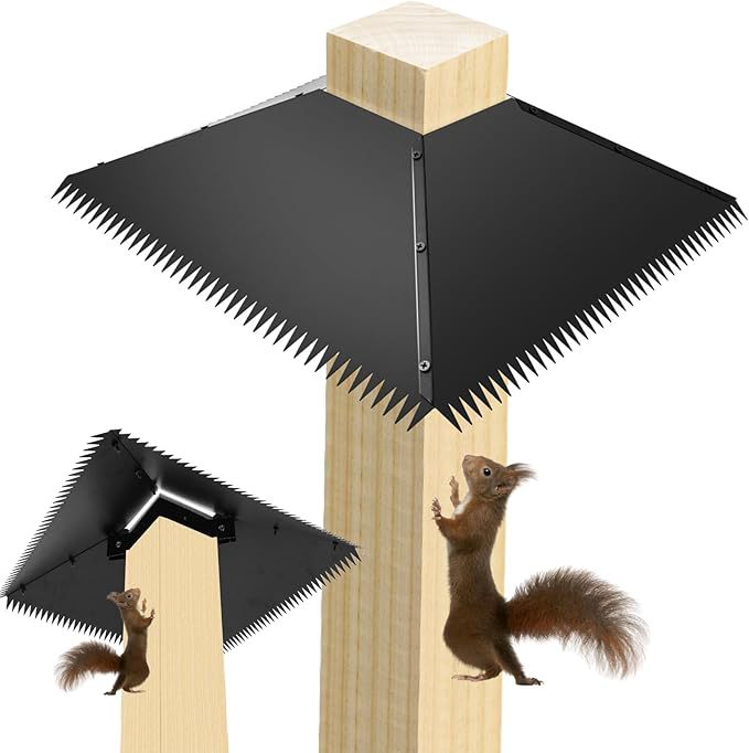 기어가 있는 다람쥐 방지(4개 팩)