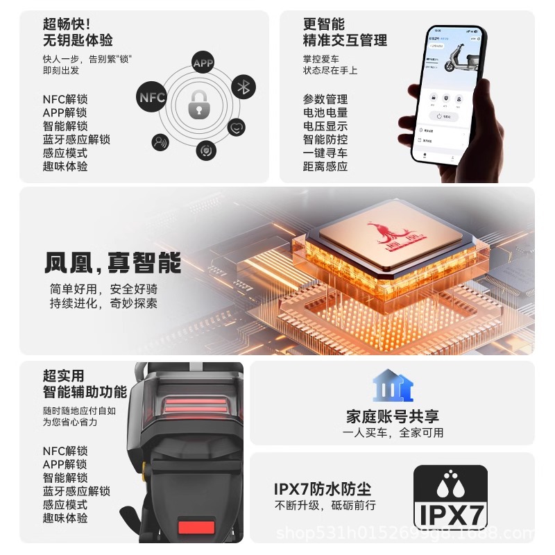 SF Express Envío gratis Phoenix 2025 nueva motocicleta eléctrica de alta velocidad motocicleta eléctrica para adultos batería de larga duración coche eléctrico No. 9