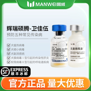 �x���l��5�l����Ȯ������Ȯ��������Ȯ��С�������l�Ѱư˹���