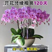 �¿�󻨺����m��������ֲ���҃ȿ͏d���ܾGֲ�辰�^���ļ��_���S