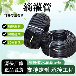 �ι���r�I���0.6 0.8 1.0���ɫ��ˮ��