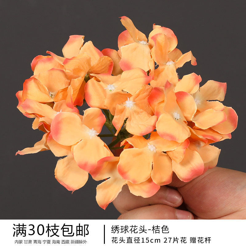 绣球花头