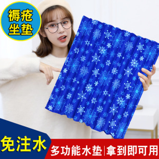 Ice Cushion Elderly Bedsore Cushion Water Cushion Water Cushion Water-free Cooling Water Cushion Summer Cool Cushion Water-free Butt Cool Cushion