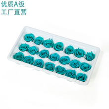 ����������õ�廨�^2-3cmA���滨õ����b���նY���������������b