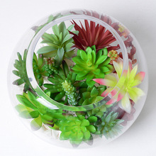 哇噢定制仿真多肉植物绿植装饰盆栽 仙人掌家居摆件假多肉diy盆景