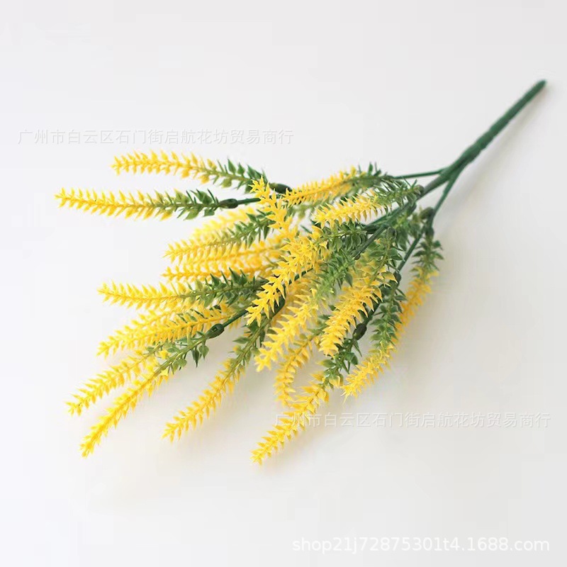 [라벤더 옐로우] 벨벳 없음