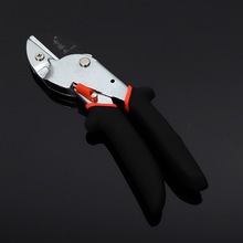 ̨ľСʿ֦ ˴ٺֱ @֦͹ ֦