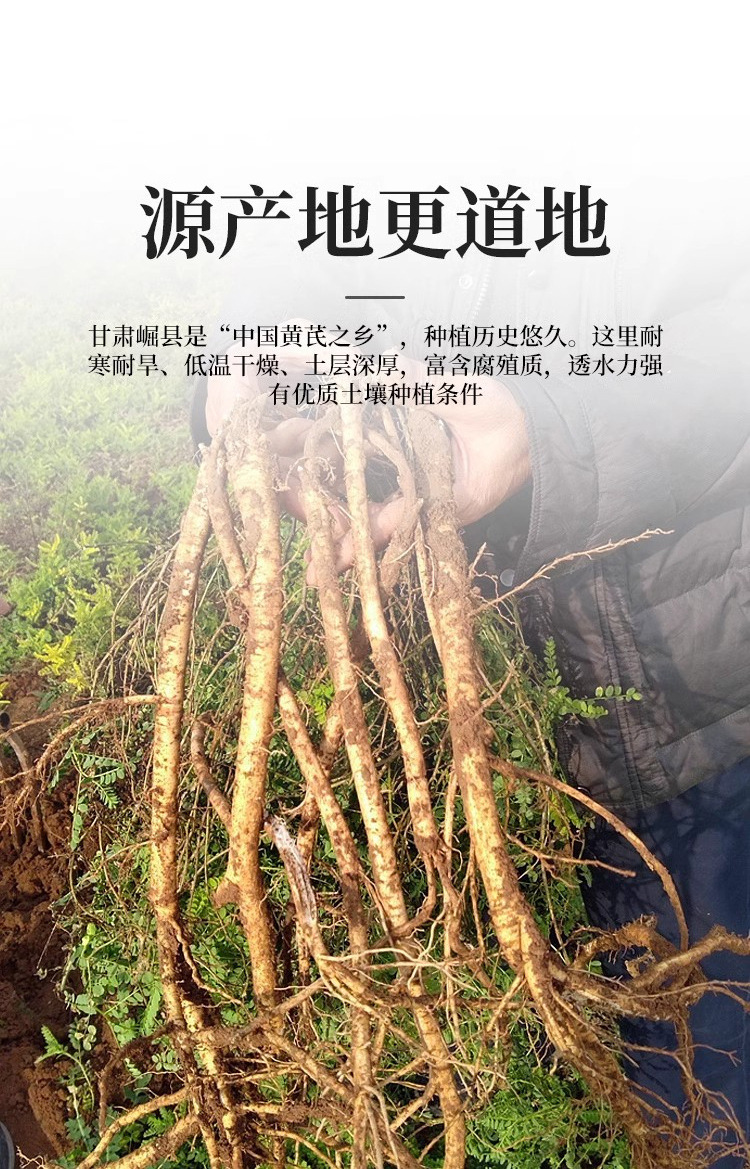 Astragalus Root Slices Huang Qi 黄芪 250g Jar Dried Herb for Tea Infusion and Soup quality and texture
