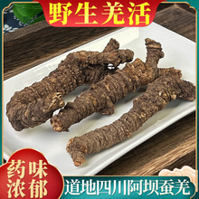 羌活中药材正品野生蚕羌新货无硫四川九味羌活片泡脚中药羌活粉